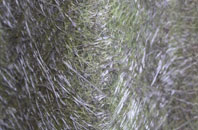 Gossabrough fibreglass roof work